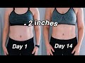 ABS IN 2 WEEKS?! i tried the CHLOE TING 2 week SHRED CHALLENGE *actual results*