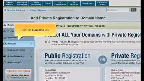 Preparing a domain for transfer from network solutions