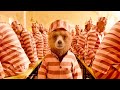 Paddington the bears adventure is filled with obstacles and funny moments  full movie recaps