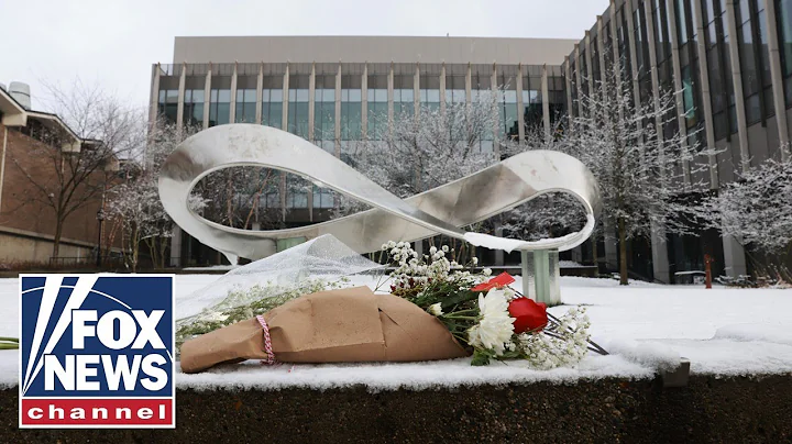 There are guns in the hands of 'too many people who should not have them': Former lawmaker