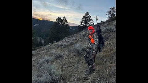 M*carbo trigger spring makes Savage Axis a good rifle?!?