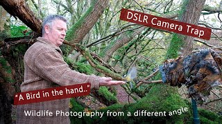 DSLR Camera trap  'A bird in the hand.......'