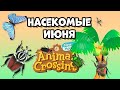 Все насекомые Июня в игре Animal Crossing: New Horizons (3+)