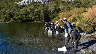 Insel Guarello in Chile: Zehntausende Liter Diesel verschmutzen Pazifik