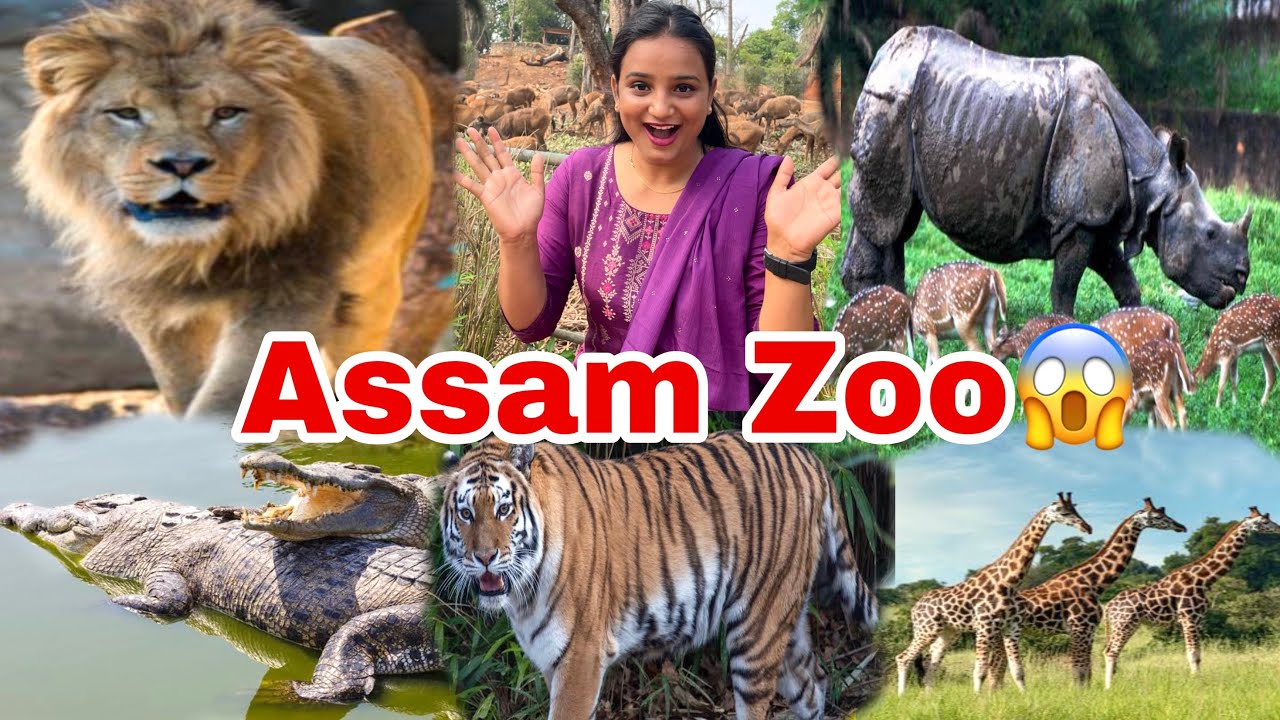 ASSAM ZOO GUWAHATI TOUR 2023 😍असम चिड़िया घर/Guwahati zoo Assam