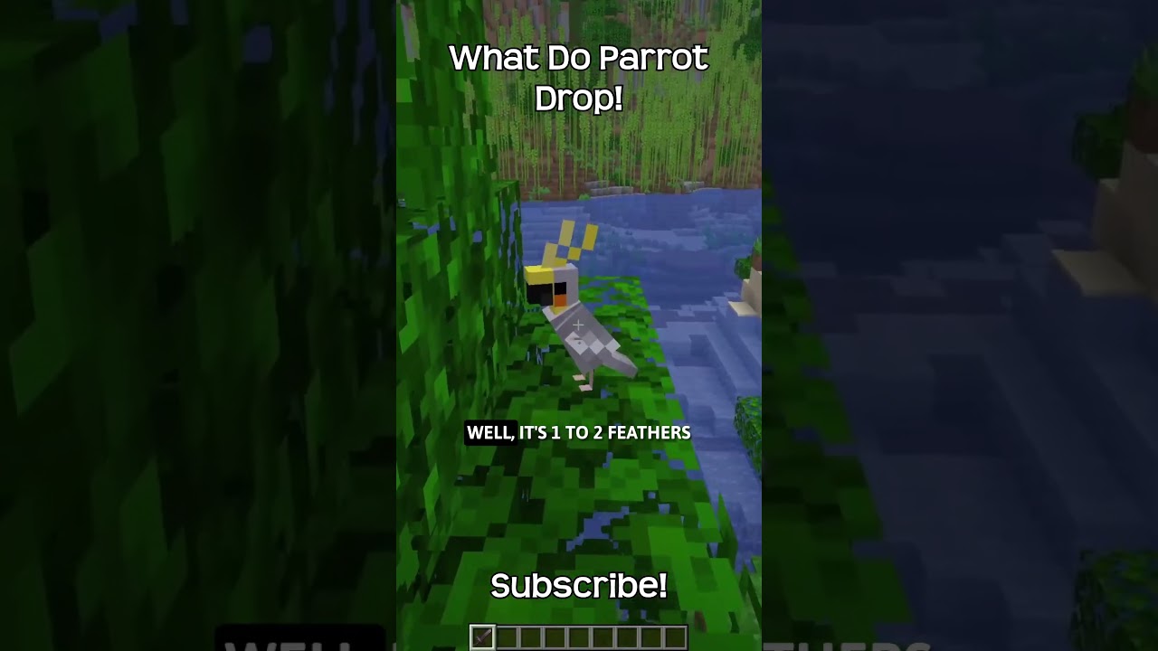 What Does A Parrot Drop In Minecraft?!