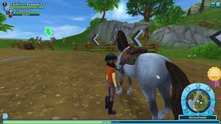 Reach Level 2 in Star Stable