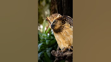 The POWER of Masking in Adobe Lightroom