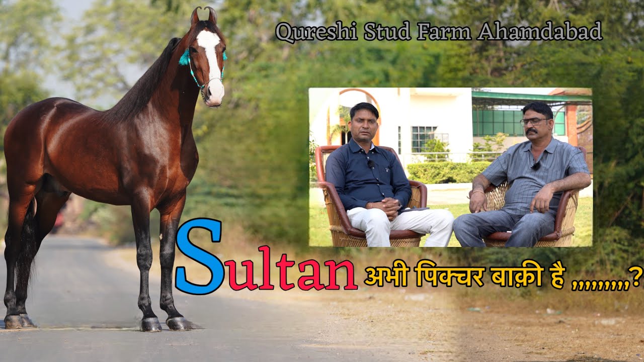 Up से अहमदाबाद का सफ़र आसान नहीं था मुश्किलें और सपने सच होते गए