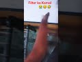 filter ka Kamal 😭😂🤣#funny shorts