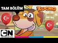 KUCHO | Bayram ve Kucho'nun Doğum Günü Bir Arada | TAM BÖLÜM | @cartoonnetworkturkiye