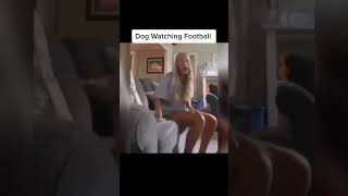 Dog Funny Reaction Watching Football On Television😂😂#Shorts #Funny #Dog #Viral