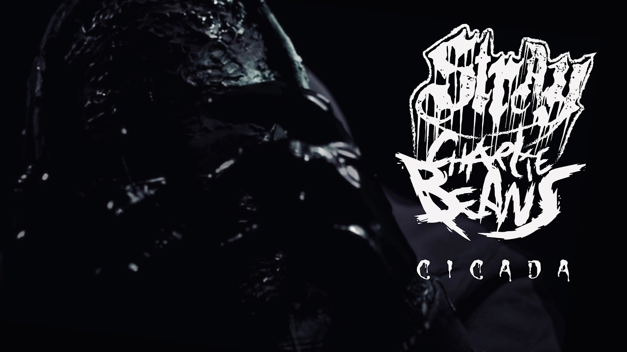 Watch Stray & Charlie Beans - Cicada (Official Video) on YouTube Watch Stray & Charlie Beans - Cicada (Official Video) on YouTube