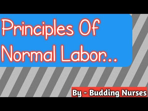Video: Định nghĩa của normal labour là gì?