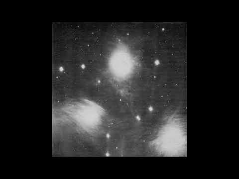 Grouper - Alien Observer
