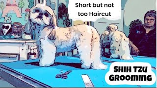 GROOMING a SHIH TZU in a SHORT but not too short cute haircut. Easy to maintain.