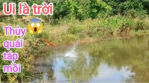 Câu cá lóc_Mấy cái ao huyền thoại lại đụng hàng khủng thật phê @Hữunghị tv