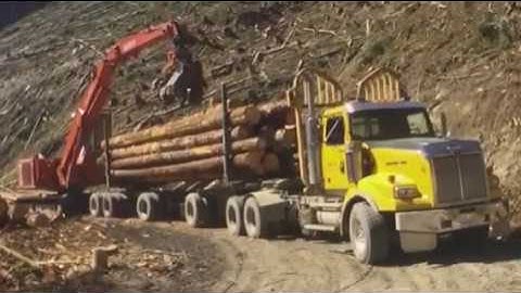 QS605 Grapple Processor loa