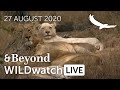 WILDwatch Live | 27 August, 2020 | Morning Safari | Part One