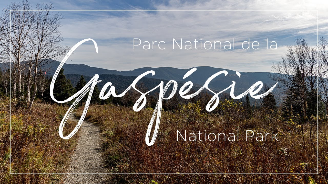 Национальный парк Гаспези: рай на открытом воздухе Квебека