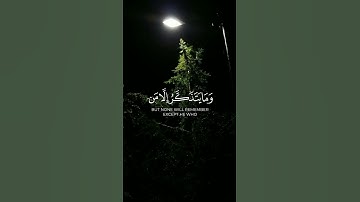 🌻حالات واتس قران كريم بصوت جميل  🌻قران حالات واتس 🌻حالات