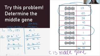 Tricky Topics: Three Point Test Cross