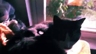 Burnt Face Man Official Music Video