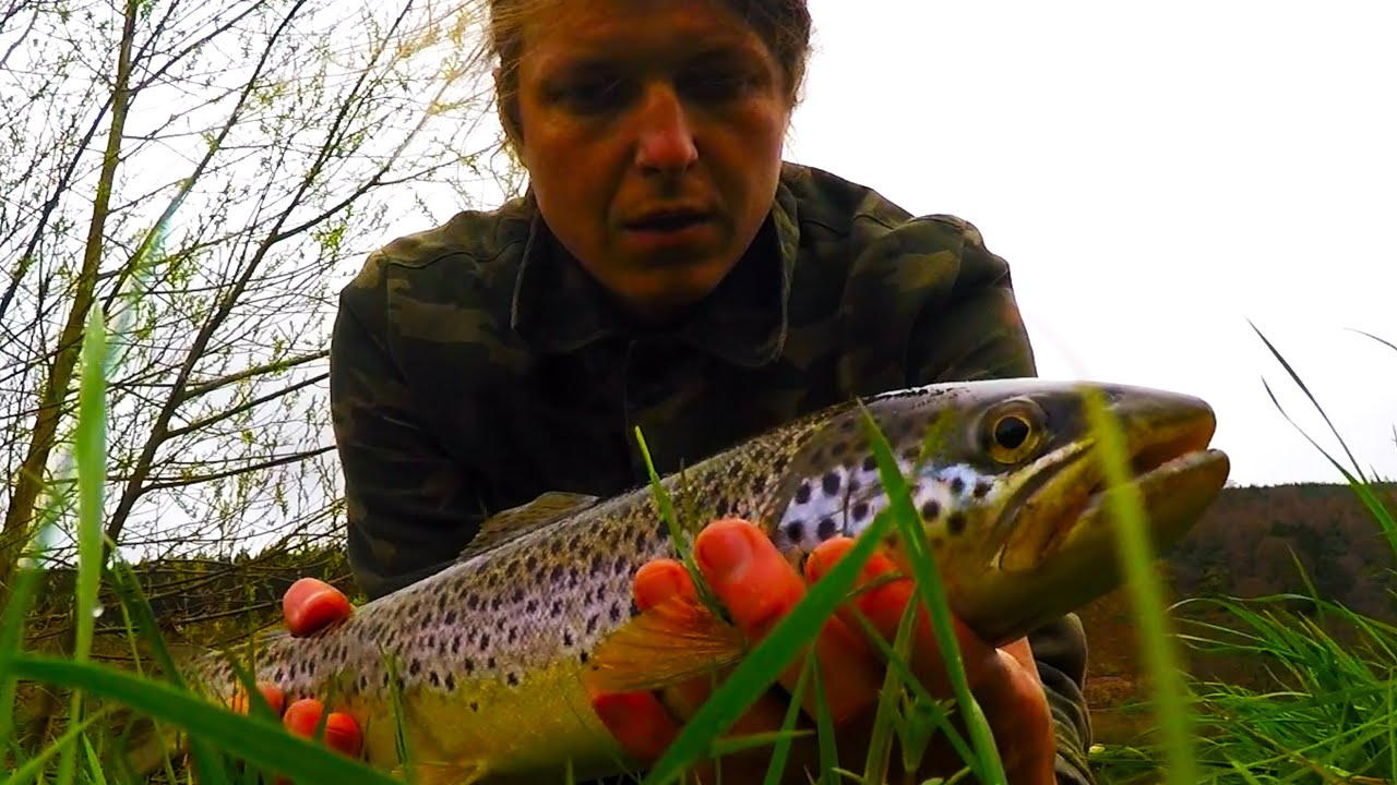 Trout Fishing YouTube