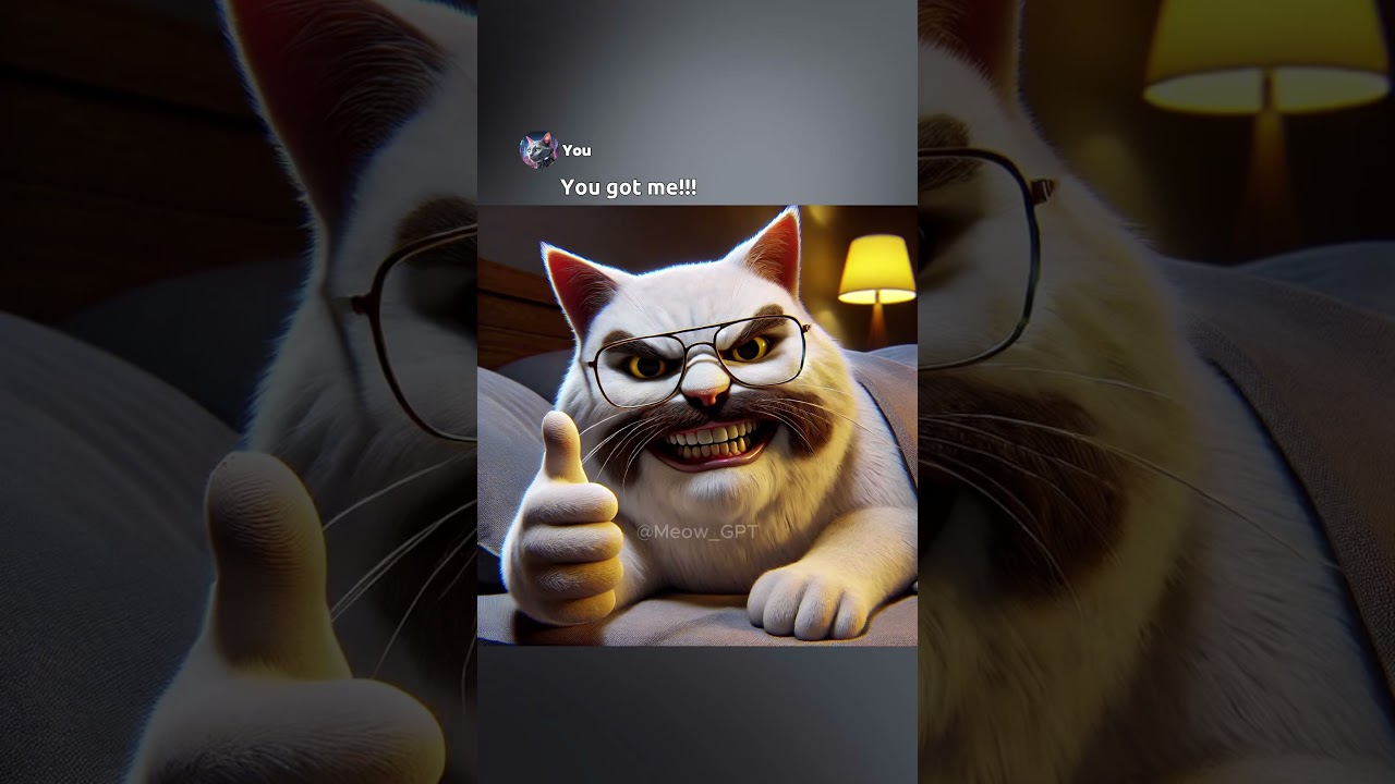 Orange cat pranks his dad. But…! 