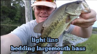 lightline bedding largemouth bass in Wisconsin lake.