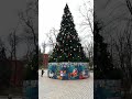 Новый год 2021. Новогодняя ёлка в парке Тараса Шевченко в Киеве.