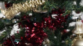 Festive Celebrations at Dulsco Group