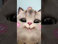 kamchor🫣😝#kamchor#cutekitty#catvideos#funny#viralvideo#trendingreels#viralreels#selflove#selfobessed
