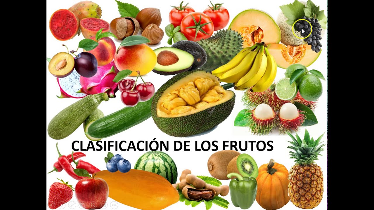 El fruto