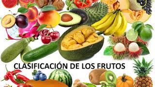 El fruto