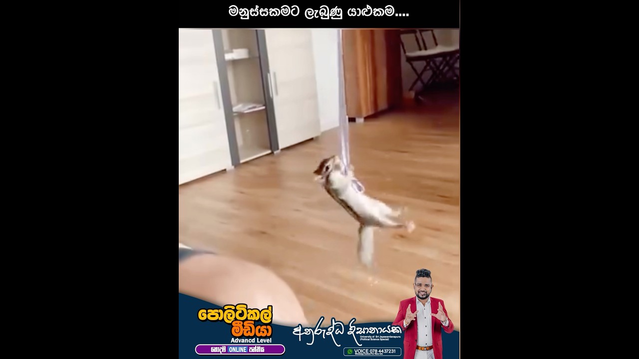 මනුස්සකම තමයි අංක එක | #මනුස්සකම #viralvideo #politicalscience