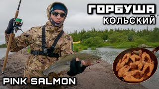 PINK SALMON 2023 FISHING on the Kola Peninsula | Fishing Adventures on the White Sea | Tent Camping