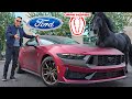 500 Cold Blooded Horses In One Ford Mustang Dark Horse 2025 5 0 V8 Coyote Powered Car Review 