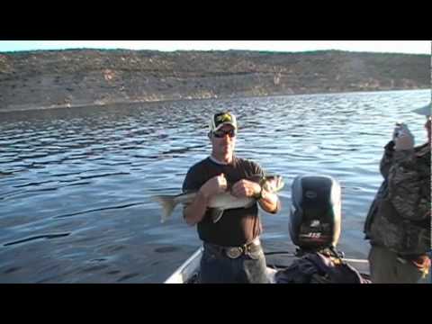 Me, my brother Terry, and a good fishing friend Randy spent two days on Flaming Gorge fishing for mackinaw. The first day we were with guide Jim Williams. Th...