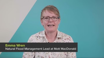 Working with nature to reduce flooding