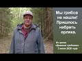 Мы грибов не нашли! Пришлось собрать папоротника орляка. Дневник грибника 2 июня 2020 года.