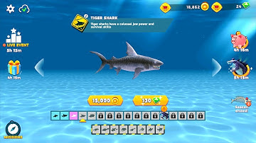 Hungry Shark Evolution TIGER SHARK Gameplay - (iOS, Android) Part 1