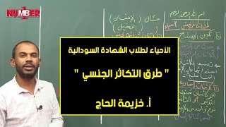 الأحياء | طُرق التكاثر الجنسي | أ. خزيمة الحاج | حصص الشهادة السودانية