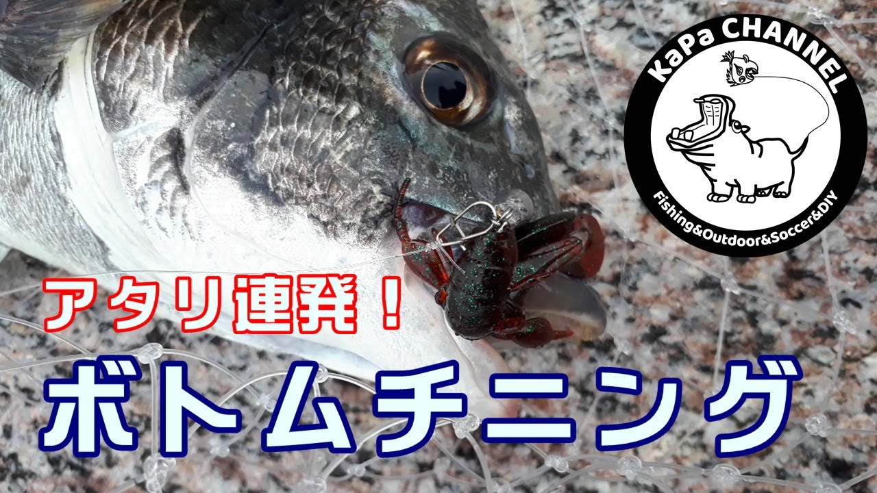 シリーズ前編 チヌ職人で黒鯛 キビレを狙ってみた 40オーバー黒鯛炸裂 Youtube