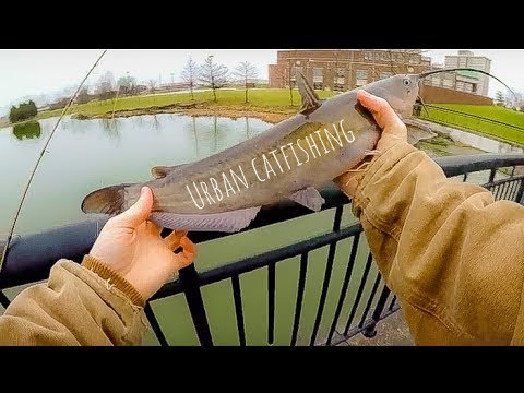 булгария Urban Catfishing!!