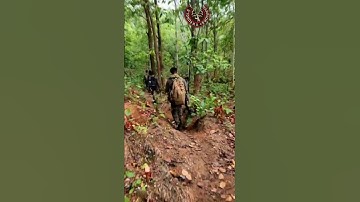 #cobracommando during operation somewhere in the #jungle #crpf #commando #sidhumoosewala