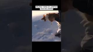 ILusi Mata Yang Membuat Kamu Tertipu #shorts #illusion #ilusioptik