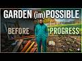 Transforming an Abandoned Garden from Scratch – 7 Weeks of Small Daily Efforts