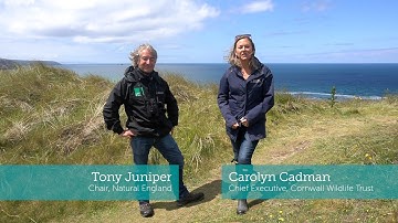 The Importance of Sand Dunes, with Tony Juniper and Carolyn Cadman for #WorldSandDuneDay