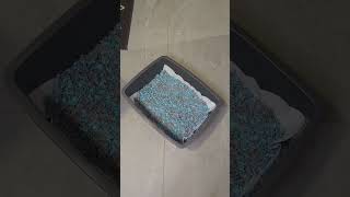 changing my rabbits litter box howto rabbit bunny lifestyle